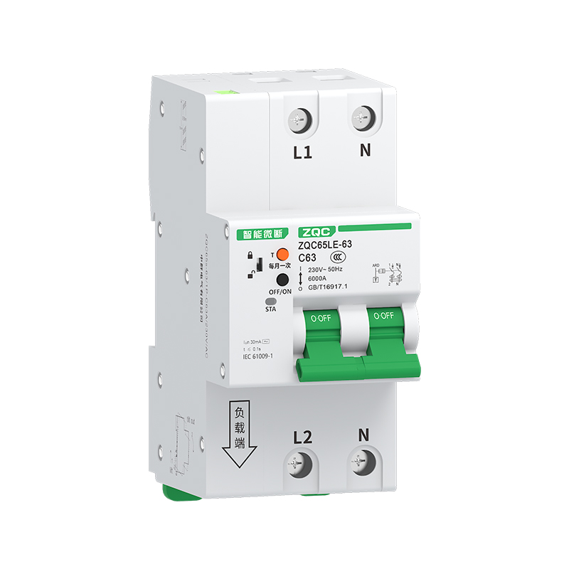 ZQC65LE-63/2P 系列