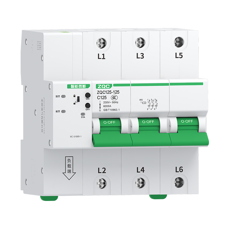 ZQC125-125/3P系列