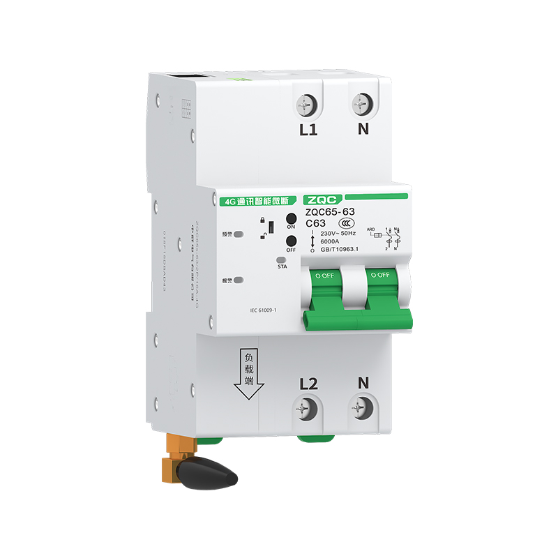 ZQC65-63/2P 系列(带通讯网关)
